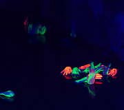 Helovino parkas Ry&scaron;ių centro bunkeryje