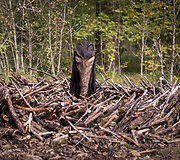 Helovino parkas Ry&scaron;ių centro bunkeryje