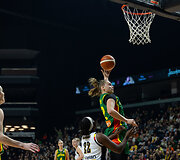 Europos krep&scaron;inio čempionato atranka: Lietuva-Belgija