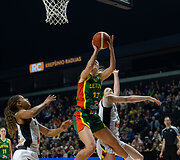 Europos krep&scaron;inio čempionato atranka: Lietuva-Belgija