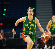 Brigita Sinickaitė