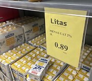 Prekių kainos parduotuvėje &bdquo;Litas&rdquo;