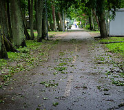 Audros padariniai Palangoje