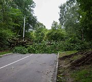 Stiprus vėjas Vilniuje varto daiktus