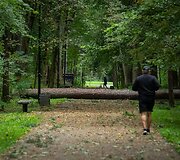 Nuvirtę medžiai Vingio parke