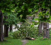 Audros padariniai Sapiegų parke ir Antakalnio kapinėse