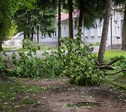 Audros padariniai Sapiegų parke ir Antakalnio kapinėse