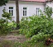 Audros padariniai Sapiegų parke ir Antakalnio kapinėse