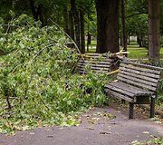 Audros padariniai Sapiegų parke ir Antakalnio kapinėse