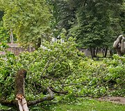 Audros padariniai Sapiegų parke ir Antakalnio kapinėse