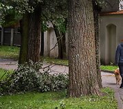 Audros padariniai Sapiegų parke ir Antakalnio kapinėse