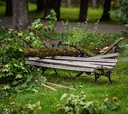 Audros padariniai Sapiegų parke ir Antakalnio kapinėse