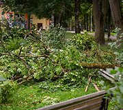 Audros padariniai Sapiegų parke ir Antakalnio kapinėse