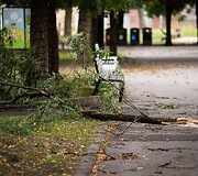 Audros padariniai Sapiegų parke ir Antakalnio kapinėse