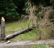Audros padariniai Sapiegų parke ir Antakalnio kapinėse