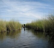 Akimirkos i&scaron; laukinių žvėrių safario Botsvanoje