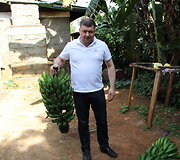 Bananai