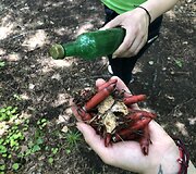 &Scaron;iuk&scaron;lių rinkimo akcija &bdquo;&Scaron;vari vasara&ldquo;
