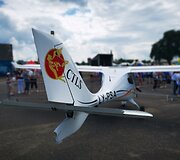 Globėjų festivalis &bdquo;Vaikai yra vaikai&ldquo;