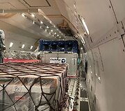 Raitelės Alisijos Zabavskos žirgas MSA Silver Gazal keliauja lėktuvu