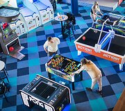 &bdquo;Action!byApollo&ldquo; pramogų centro atidarymas &bdquo;Oze&ldquo; 