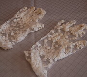 Jaunosios pir&scaron;tinaitės