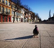 Paspirtuku po Pasvalį ir Panevėžį