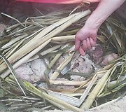 Archainiu būdu duobėje kepama mėsa