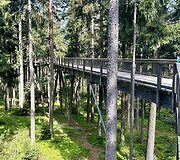 Lipno &ndash; aktyvaus laisvalaikio kurortas Čekijoje