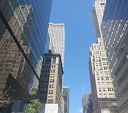 Pirmoji Banguolės kelionė į JAV