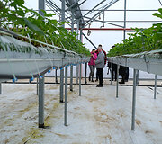 Vie&scaron;nagė pas ūkininką Tadą Bėliaką