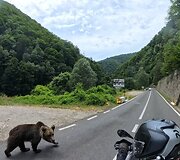 Andriaus kelionė motociklu po Karpatus