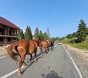 Andriaus kelionė motociklu po Karpatus