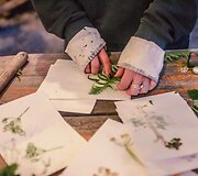 &bdquo;Saulėtųjų naktų&ldquo; sodyboje verda gyvenimas
