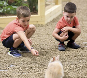 Gyvūnai ugdo kūrybi&scaron;kumą ir padeda i&scaron;gyti