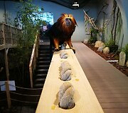 Zoologijos sodui Vilniuje &bdquo;Zoopark&ldquo; &ndash; vieneri metai