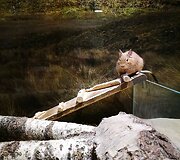 Zoologijos sodui Vilniuje &bdquo;Zoopark&ldquo; &ndash; vieneri metai
