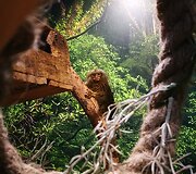 Zoologijos sodui Vilniuje &bdquo;Zoopark&ldquo; &ndash; vieneri metai