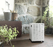 Woods 38FW modelis