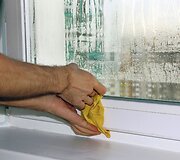 Atsirado pelėsis, kondensatas ant langų, nedžiūsta skalbiniai? Patarimai sausinant orą