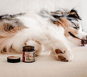 Natūrali ir tvari kosmetika &scaron;unims &ndash; mada ar būtinybė?