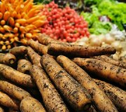 &bdquo;Rolando daržovės&ldquo; &ndash; vieta, kur žmonės ateina įsigyti ne tik daržovių