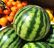 &bdquo;Rolando daržovės&ldquo; &ndash; vieta, kur žmonės ateina įsigyti ne tik daržovių