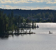 Suomijos nacionalinių parkų gamta