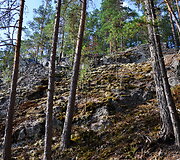 Suomijos nacionalinių parkų gamta