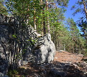 Suomijos nacionalinių parkų gamta