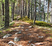 Suomijos nacionalinių parkų gamta