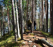 Suomijos nacionalinių parkų gamta