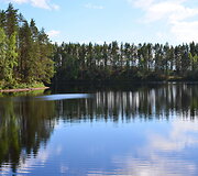 Suomijos nacionalinių parkų gamta