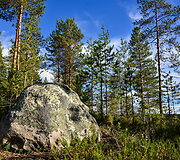 Suomijos nacionalinių parkų gamta